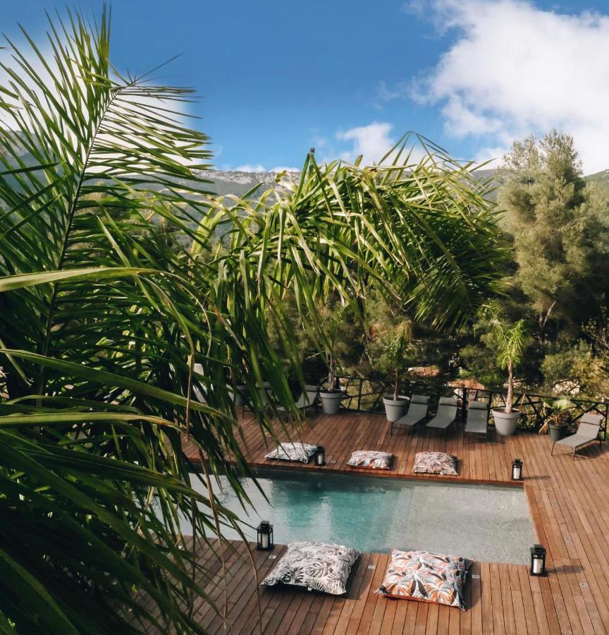 Villa Holistika : Bed And Breakfast / Pool / Air Conditioning/ Mont Faron 툴롱 외부 사진
